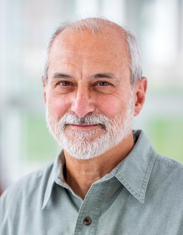 Liquid Crystal Polymeric Networks: Modeling, Approximation, and Computation