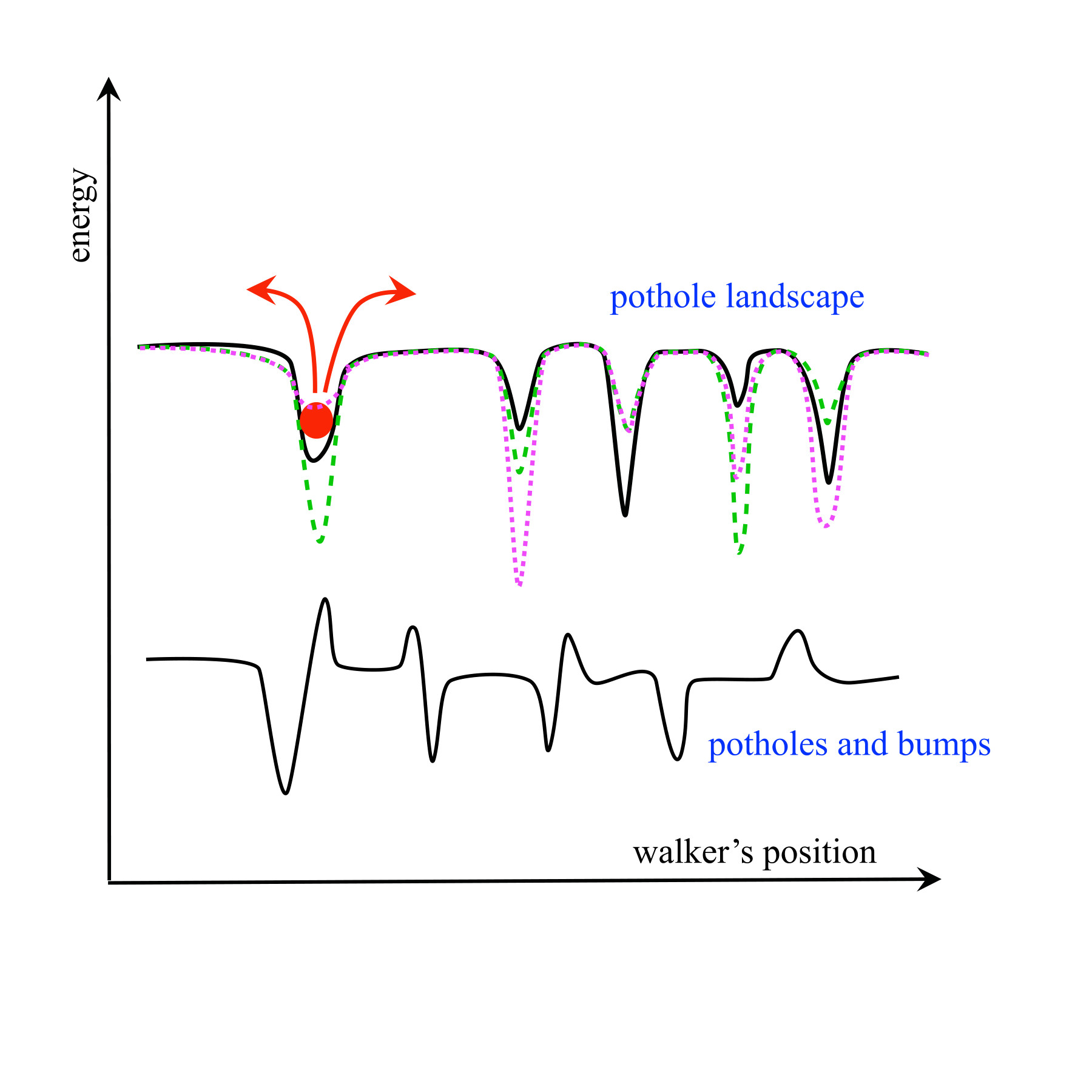 In the “pothole” landscape model, deep energy wells temporarily trap a diffusing molecule. When these wells fluctuate, the overall diffusion rate remains the same as in a frozen landscape -  added energy “bumps” alter the motion. Credit: Dmitrii Makarov