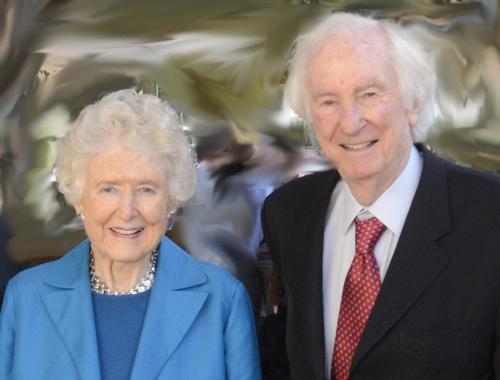 O’Donnell Foundation Creates First-Year CSEM Fellowship Program