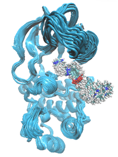 Protein kinase