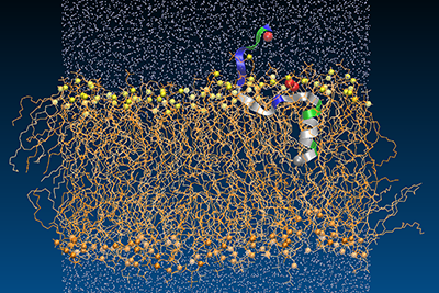 Cell-penetrating peptides